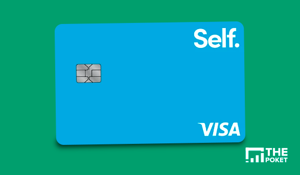 Self Visa